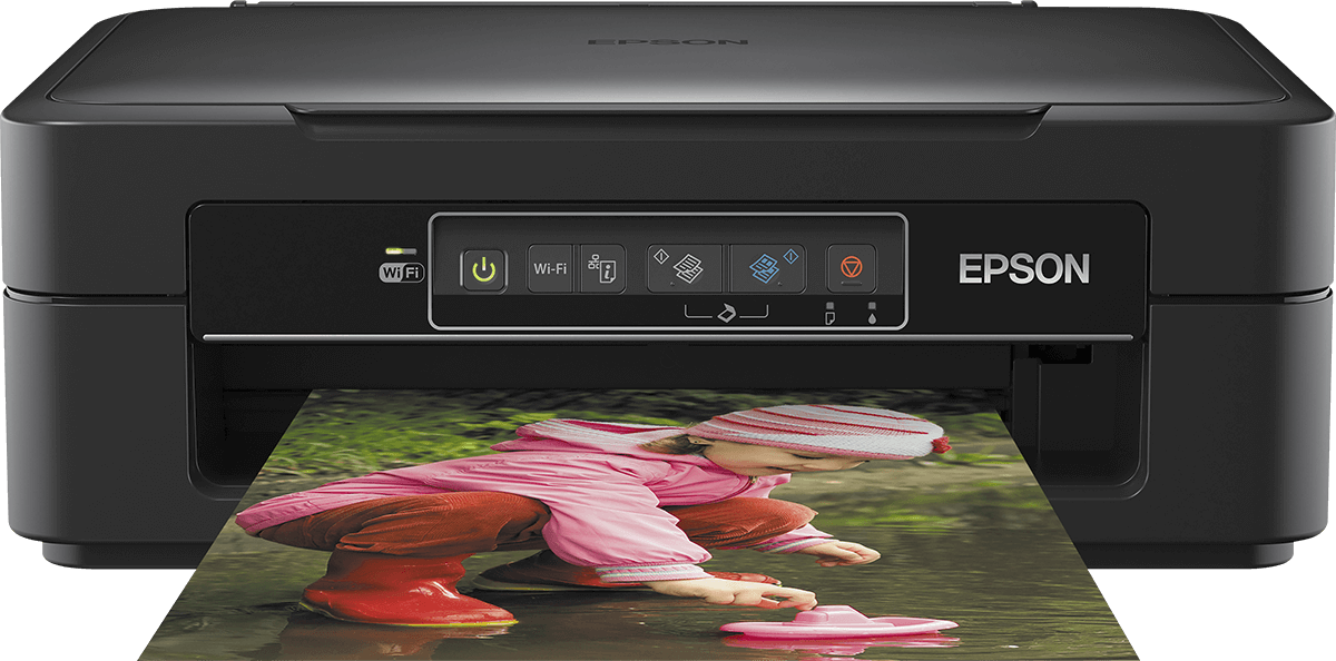 Imprimante compacte Epson Expression Home XP245